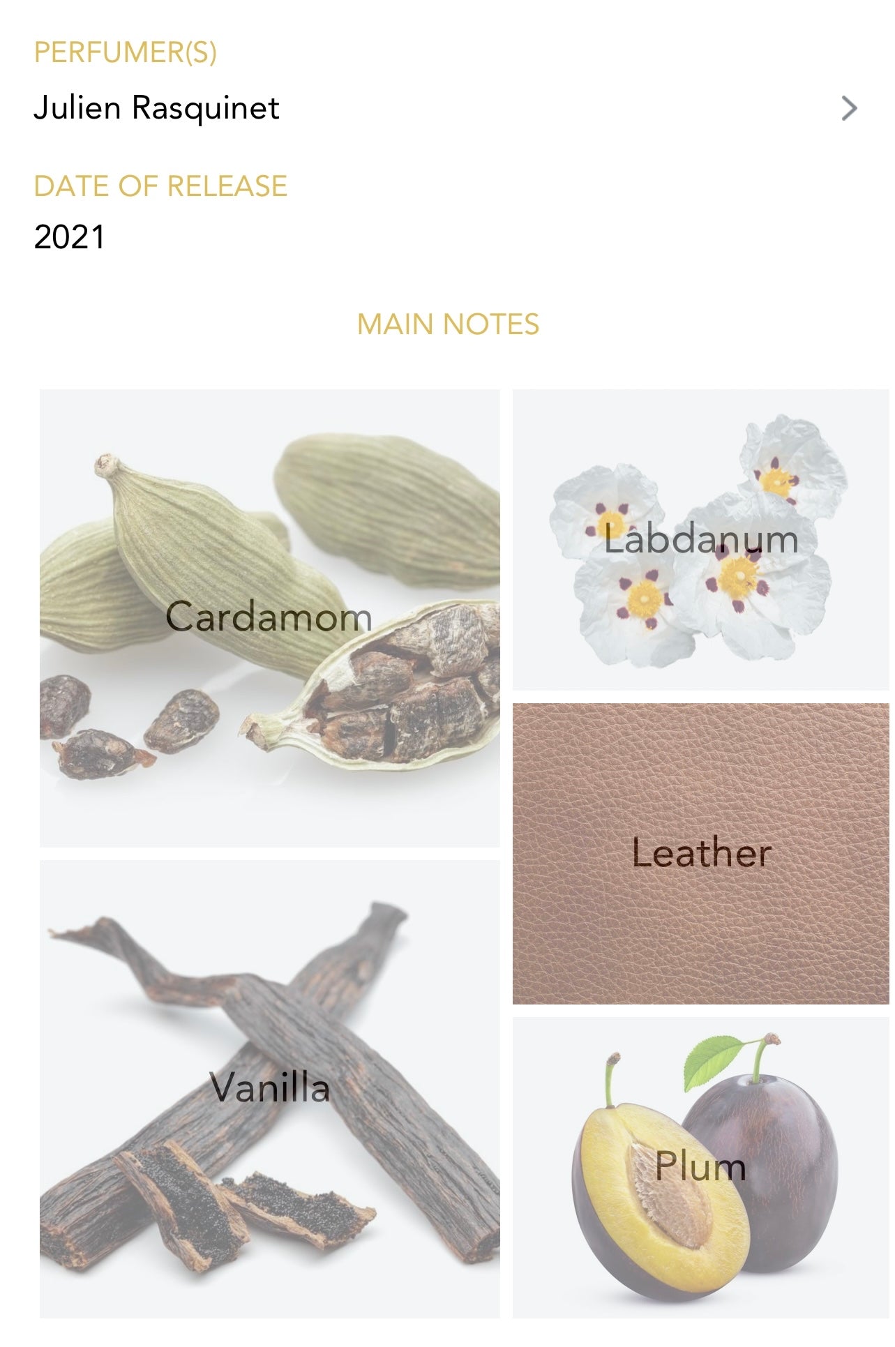VAN CLEEF & ARPLES - Orchid Leather