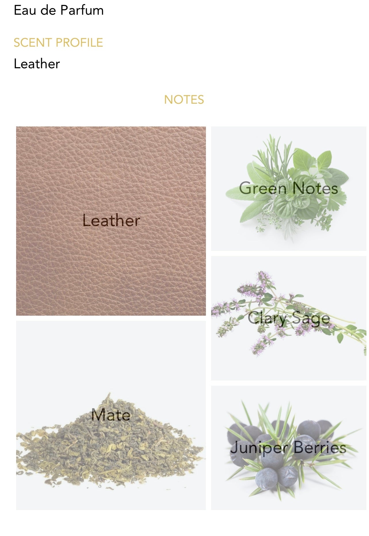 MEMO PARIS - Irish Leather