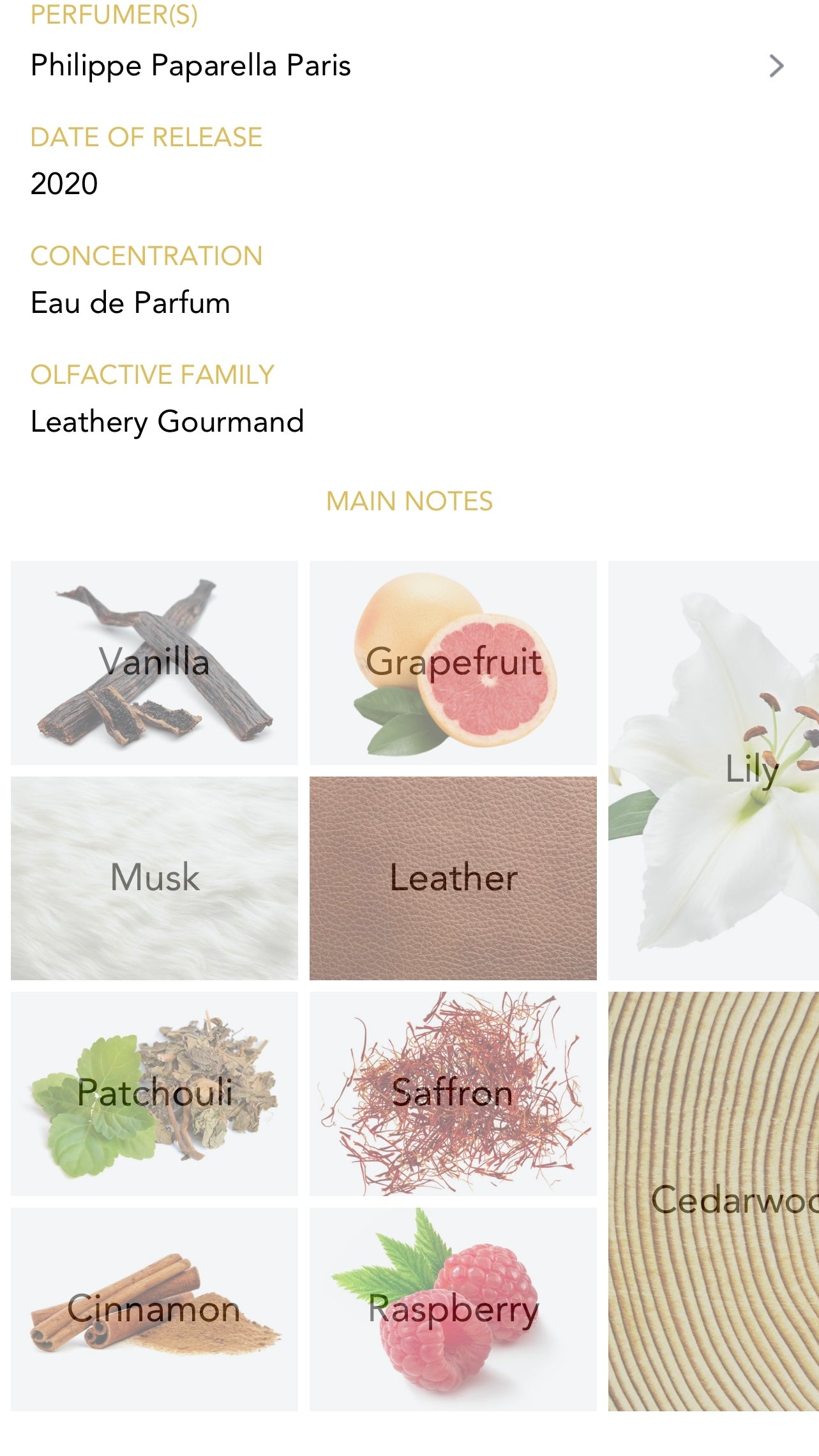 OMAN LUXURY - Paramour