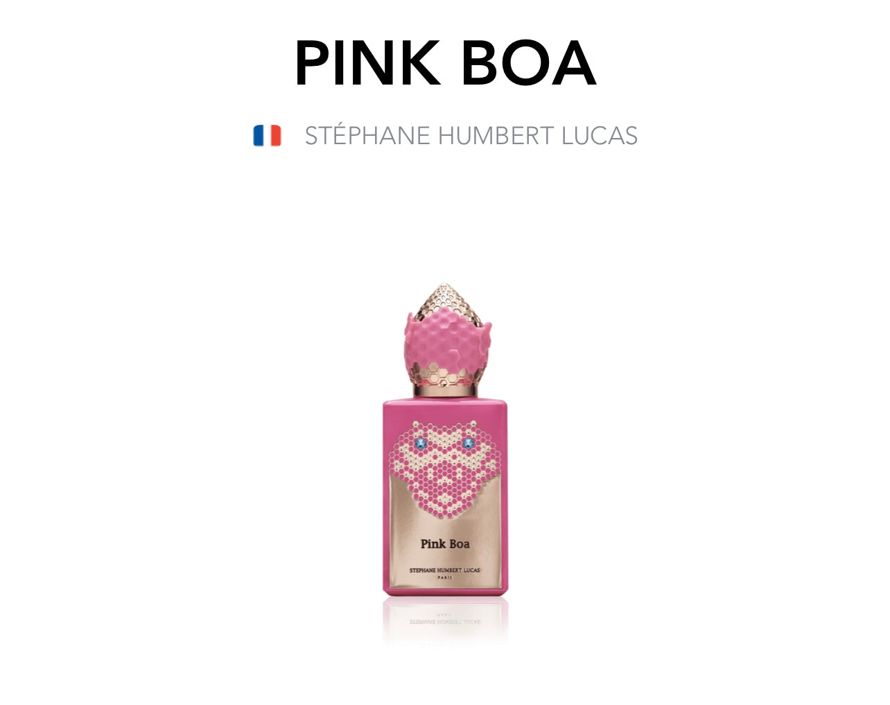 STÉPHANE HUMBERT LUCAS - Pink Boa