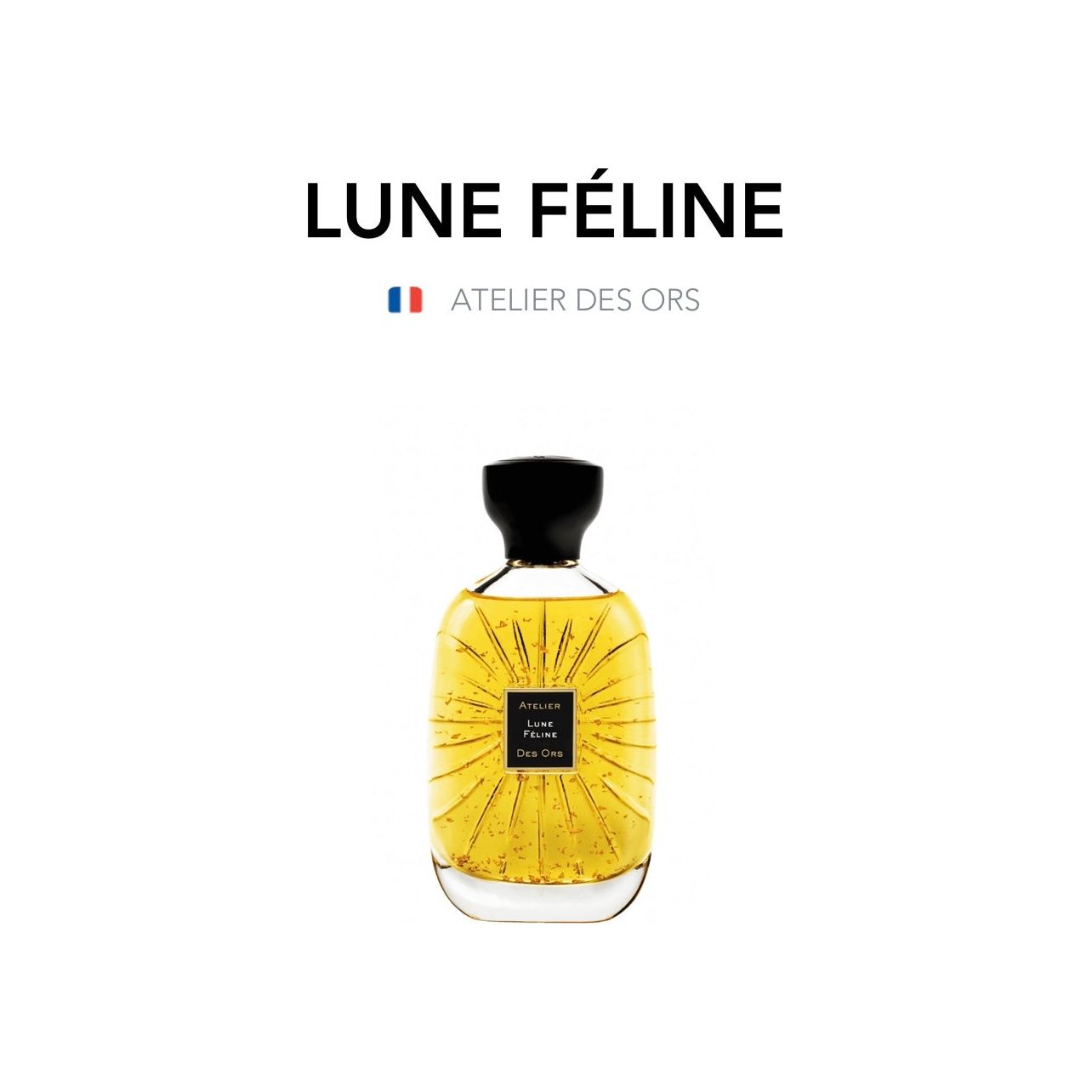 ATELIER DES ORS - Lune Féline